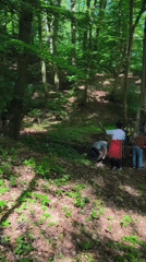 Group examines ground discovery in Hungarian forest