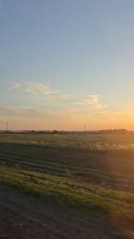 The video shows a view from a moving vehicle looking out over a field at sunset. The sky is a gradient of blue to orange and pink with a few wispy clouds. In the distance, there are trees and what appear to be power lines. The field in the foreground is green and appears to be cultivated with some white flowers scattered throughout. The road or path the vehicle is on is visible in the lower portion of the frame and is dirt or gravel. The sun is setting on the right side of the frame, casting a warm glow over the landscape.