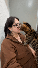 Woman shares affectionate moments with Bengal and tabby cats