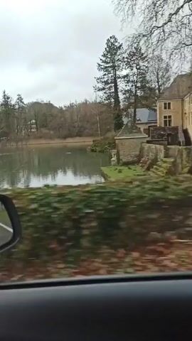 The view from a car passes by a calm lake surrounded by trees on an overcast day. The car moves across a bridge with a low stone wall, offering a glimpse of a quaint house on the lake's edge. The background is blurred, emphasizing the stillness of the lake and the natural setting.