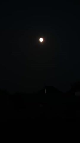 A full moon is visible in a dark night sky. Silhouetted against the moon are the outlines of a roof and trees. The moon is round and bright, with a halo of light around it. The sky is a deep black, indicating that it is nighttime. The silhouettes of the roof and trees are dark and indistinct, suggesting that they are far away or the lighting is poor. The overall impression is one of a serene and quiet night.