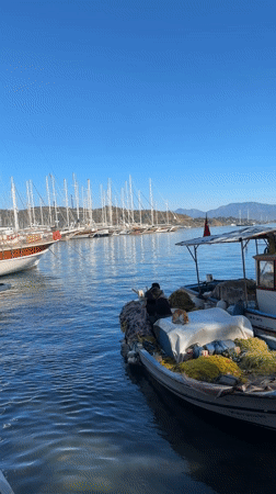 Person spotted on small boat in sunny Fethiye marina