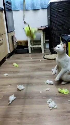 A white cat with light brown patches on its back and tail is shown playing with a dangling light green fluffy toy in what appears to be a kitchen or utility area. The cat jumps and swats at the toy with its front paws, showing playful energy and focus. On the wooden floor around the cat, numerous pieces of white fluff and some green fragments are scattered, indicating that the toy has been torn or is shedding its filling during play. In the background, light-colored kitchen cabinets with silver handles, a black oven, a small white wooden stool, a black litter box, and a black storage unit are visible. A light blue curtain or fabric hangs in the distant background. The cat is actively engaged in the game.