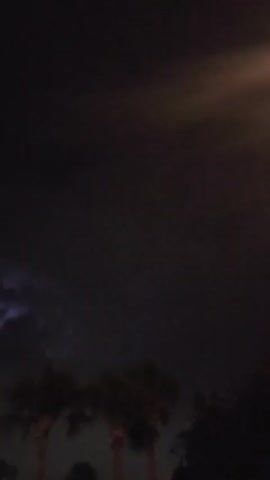 This is a vertical video of a night sky with palm trees in the foreground. There is a lightning strike visible in the upper portion of the frame, illuminating the clouds with a purple hue. The lightning appears to be distant. The palm trees are silhouetted against the dark sky and the light from the lightning. The video is dark and grainy, consistent with nighttime photography.