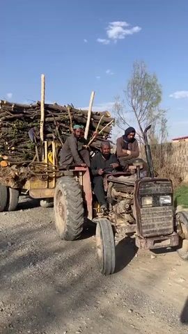 The video shows a very old red and yellow tractor pulling a trailer piled high with logs. Three men are on the tractor: one is driving, and the other two are riding as passengers. The logs on the trailer have branches with leaves still attached. The tractor is on a gravel road, next to a low wall and sparse vegetation. The sky is blue with a few scattered clouds.