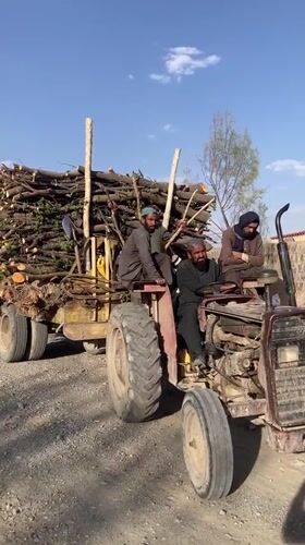 Logging tractor with three men transports wood in Pakistan