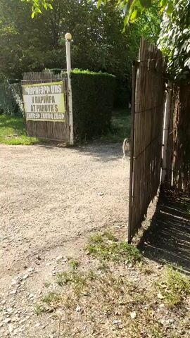 A dog runs across a dirt path in front of a gate with a sign. The sign is written in Armenian and English, and it appears to advertise a business called "AT PARUYR'S." The gate is made of bamboo and has a wooden fence to its right. Beyond the gate is a hedge and trees. The path leads to a road that curves to the left. The road then goes past a power tower and a rocky mountainside. The sky is blue and clear.