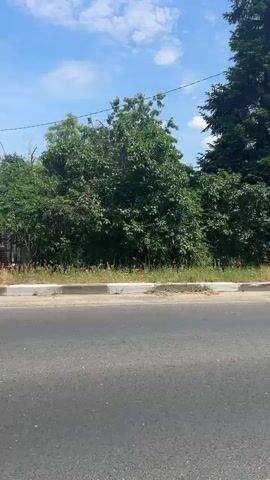 The video captures a daytime view from a moving vehicle driving along a street in Dolna Mahala, Bulgaria, under a blue sky with scattered white clouds. The asphalt road is flanked by a concrete curb and an unpaved strip with grass and vegetation.

On the right side of the road, various structures and natural elements pass by. Several utility poles are visible, one prominently in the foreground with blue and yellow markings near its top. Lush green trees and bushes line the street and properties.

The video showcases different types of buildings. One structure appears to be an abandoned commercial building made of grey stone or concrete, featuring numerous windows (some broken) and a distinctive external concrete spiral staircase leading to a rooftop terrace. Further down, a grey house with a red tiled roof is seen. This house has a small green metal gate, and grapevines grow over a pergola structure in front of it. The house number "193d" is visible on its facade. Various other residential buildings, some with fences (chain-link and concrete post with wire), are also present in the background. The general setting suggests a rural or semi-rural residential area.