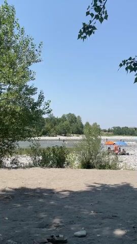 This media file captures a serene daytime scene at a riverbank in Rivergaro, Italy. The image is dominated by a wide, shallow river with a rocky bed, reflecting the bright, clear blue sky. The river appears to be a popular spot for recreation, with several people visible wading and swimming in the water.

On the right bank of the river, a small group of people are enjoying a day out. They are gathered under a blue umbrella and an orange beach umbrella, indicative of a sunny day. One person is visible in swimwear, suggesting leisure activities like sunbathing or picnicking. The bank itself is covered in smooth, light-colored pebbles, a common feature of river environments.

In the foreground, a sandy patch leads up to the riverbank. Some casual objects are left on the sand, including a pair of sandals and what appears to be a white bottle or cup, hinting at a relaxed and unhurried atmosphere. Lush green trees frame the scene, with one large tree on the left providing shade and a sense of natural beauty. In the background, a dense line of trees forms a natural border, with some structures hinting at a distant town or village.

The overall impression is one of a warm, pleasant day, likely during the summer months, with people enjoying the natural beauty and recreational opportunities of the river. The mood is peaceful and inviting, capturing a moment of summer leisure. There is no visible text in the media file.
