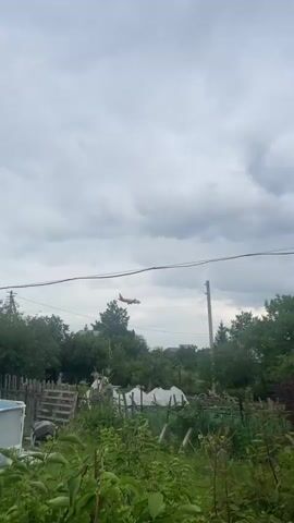 A red and white airplane is flying low against a cloudy sky. The plane is heading towards the right of the frame. In the foreground, there are green trees and a utility pole. The airplane appears to be on its landing approach.