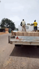 Daily life scenes documented across Plateau State communities