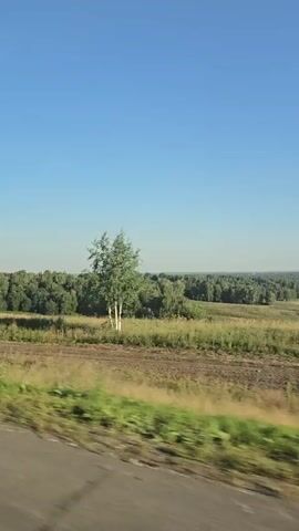 A video captured from a moving vehicle shows a bright, clear blue sky above a rural landscape. The foreground is dominated by a metal guardrail, likely along a road or highway. Beyond the guardrail, a field with patches of dry grass and soil stretches out. Further in the distance, a dense forest with lush green trees forms a thick band across the horizon. The sunlight indicates it is daytime.