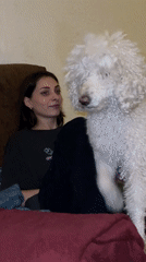 Quiet afternoon moments: couch time, lunch, home details