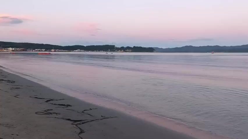 A wide shot of a beach with calm water. The sand is wet and there are some lines of seaweed on it. In the distance, there is a town with buildings and trees. The sky is a light pink and purple color, suggesting sunrise or sunset. There are some small boats on the water. The overall mood is peaceful and serene.
