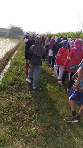 A group of people are walking in a single file line along a grassy path next to a rice paddy. The sky is bright and overcast. In the background, there are power lines and trees. Most of the people are wearing casual clothing, and many of the women are wearing hijabs. The person in the foreground is walking away from the camera, wearing a green t-shirt and blue shorts.