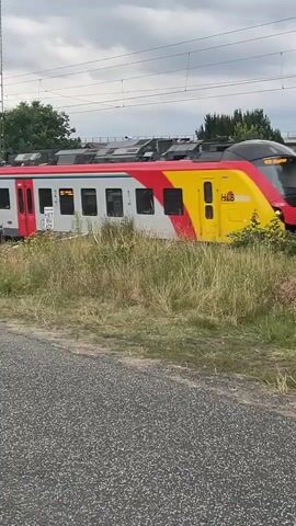 A train with red and white cars passes by on a track. The train has windows and doors. A bicycle symbol is visible on one of the cars. The train is traveling through a grassy area with trees. A cloudy sky is visible overhead.