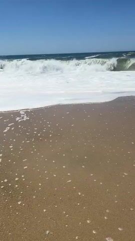 This media file captures a serene beach scene in Torreira, Portugal. The focal point is the dynamic interaction between the ocean and the shore. Large, white-capped waves are captured mid-break, creating a frothy expanse of white water that rushes towards the sandy beach. The foreground is dominated by the wet, tan sand, glistening with small bubbles and the retreating foam of the waves, indicating the tide is currently near its peak or receding slightly.

The ocean itself appears a deep, rich blue, stretching towards a clear, bright blue sky. The horizon is sharply defined, suggesting a cloudless day. The scene is bathed in bright sunlight, indicating it is daytime, likely late morning or early afternoon given the intensity of the light. There are no people or man-made objects visible in the frame, emphasizing the natural beauty and tranquility of the location. The overall mood evoked is one of peacefulness and the raw, unadulterated power of nature. The sound of the waves crashing is a dominant element, contributing to the immersive experience of being at the seaside.