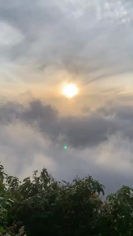 The video shows a sunrise or sunset over a cloudy landscape. The sun is a bright white orb in the center of the frame, partially obscured by clouds. Below the sun, a dense layer of white clouds stretches across the horizon. In the foreground, the tops of green trees are visible. The sky is a mix of gray and pale yellow.