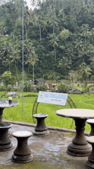 Tourist rafting adventure begins amid Bali's scenic rice paddies