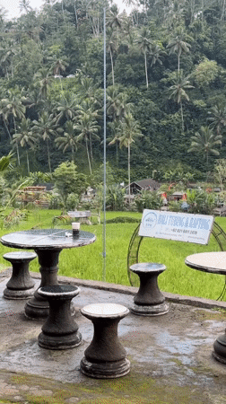 Tourist rafting adventure begins amid Bali's scenic rice paddies