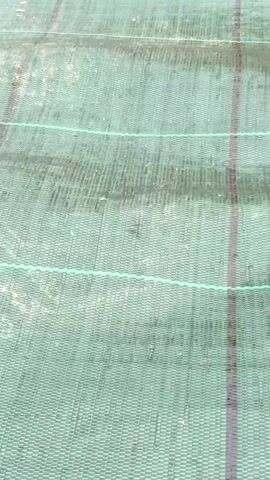 The video shows a close-up, slightly blurry view of a green, woven material. There are several horizontal green lines and one vertical dark gray line running across the material. Small, dark specks are scattered across the surface. In the first frame, a small, light-brown insect with visible wings is positioned near the center of the frame. In the second frame, the insect has moved slightly to the left. In the third frame, the insect is no longer visible, and a small, white speck is now present near the vertical dark gray line. The material appears to be a type of matting or fabric, possibly used outdoors.