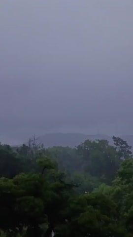 The video shows a cloudy, overcast scene of a forest and hills. The foreground is dominated by green trees, with a range of hills visible in the background through the mist. The sky is a uniform gray, suggesting heavy cloud cover and possibly rain. The overall atmosphere is subdued and muted due to the low light and weather conditions.