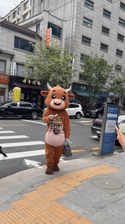 Cow mascot spotted with matcha drink on Seoul street