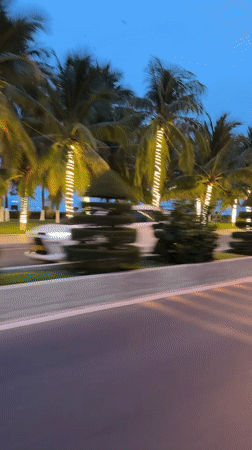 Evening coastal scene captured in Nha Trang with illuminated palms