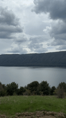 Tranquil lakeside moment captured with dog in Bulgarian countryside