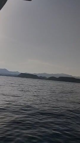 This media file captures a view from a boat moving across a body of water, likely the Mediterranean Sea given the location context of Calarreona, Spain. The scene is dominated by the expansive, blue water with gentle waves, and a clear, pale blue sky. In the distance, a hazy, mountainous coastline stretches across the horizon, dotted with what appear to be small towns or settlements.

The time of day appears to be late morning or early afternoon, judging by the bright, diffused light and the lack of strong shadows. The weather seems to be clear and fair, with no visible clouds. The activity is simply a boat journey, offering a serene and panoramic perspective of the coastal landscape.

Notable details include the slight ripples on the water, suggesting a calm sea, and the distant, subdued colors of the land, indicating a good distance from shore or perhaps atmospheric haze. The overall emotion conveyed is one of tranquility and gentle exploration. There is no visible text within the media file itself. The presence of a dark outboard motor at the bottom of the frame in some segments confirms the perspective is from a watercraft.