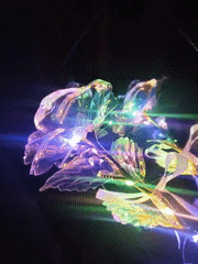 Decorative LED roses and paper crafts documented in Krasnoyarsk