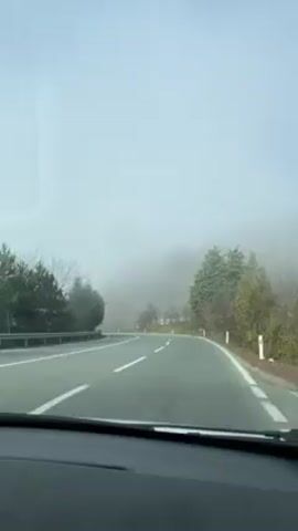 The video shows a road seen from inside a car, as it curves through a forest shrouded in fog. The road is paved with white lines marking the lanes, and guardrails are visible on the left side. Trees line the road, and heavy fog obscures the background.