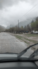 Cattle drive captured on rainy morning in Kyrgyzstan mountains