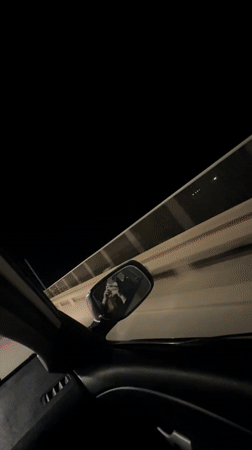 Two women document nighttime car ride in Budva