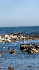 Tourist activities documented at Cape of Good Hope, Cape Town