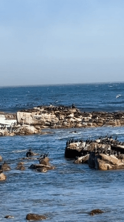 Tourist activities documented at Cape of Good Hope, Cape Town