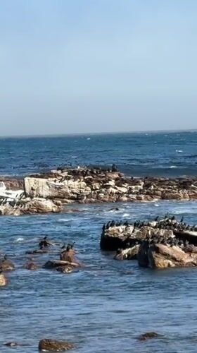 Tourist activities documented at Cape of Good Hope, Cape Town