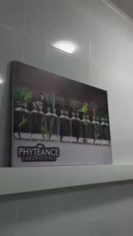 The video shows a framed print sitting on a white ledge. The print features a series of small, clear glass jars, each containing a different type of plant cutting. Behind the jars is a wooden-textured background. Below the image, the words "PHYTEANCE LABORATOIRES" are printed in black. The ledge is attached to a wall covered with white square tiles. The lighting in the room is bright and even.