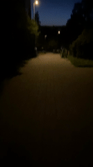 Twilight streets and studio cats in Bílina, Czechia