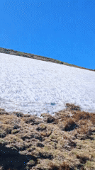 Spring thaw documented on snowy hillside with mountain backdrop