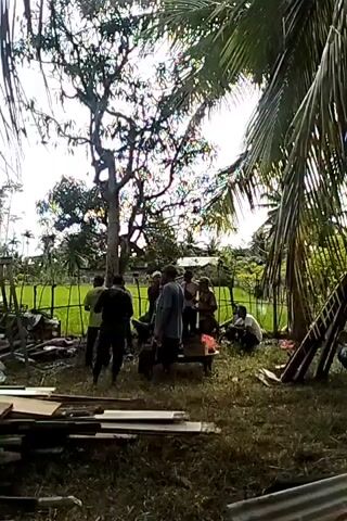 The video shows a group of approximately a dozen people gathered in a grassy area under trees, possibly a yard or field.  Some people are standing, while others are sitting. Some are wearing hats.  A small table with items on it is in the center of the group. A rice paddy is visible in the background, behind a simple fence. There are pieces of cardboard or wood lying on the ground in the foreground.  One man walks from the foreground towards the group, while another walks from the group towards the right side of the frame. The overall impression is of a casual gathering, possibly related to rural or agricultural activity. The light is bright, suggesting an outdoor scene on a sunny day.