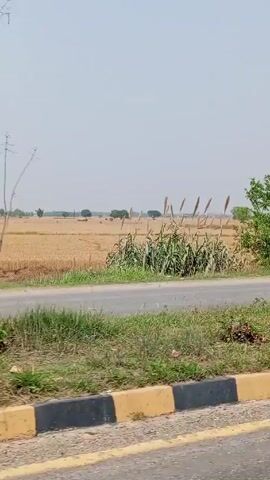 The video shows a shot from a moving vehicle driving on a road that borders an open field. The field appears to be harvested and is a tan color. Small green trees or bushes are growing next to the road. A green truck covered with a tarp passes in the opposite direction. A motorcycle passes in the opposite direction. The sky is light and overcast.