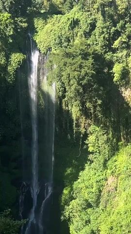 A vertical video captures a tall, multi-tiered waterfall cascading down a lush, green cliff face. The water appears as thin ribbons, shimmering in the sunlight. Dense foliage, including trees and vines, surrounds the waterfall, with the greenery forming a thick canopy at the top and covering the cliff sides. The overall scene is one of a natural, tropical environment.