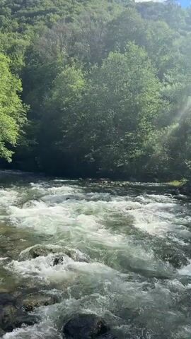The video captures a flowing river with white water rapids. The river is surrounded by lush green trees and a steep, forested hillside. The sky above is blue with scattered white clouds, and sunlight filters through the trees, creating a dappled effect. No people or man-made objects are visible.