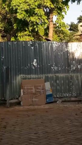 The video shows a corrugated metal fence with a pile of cardboard boxes and a blue and white box leaning against it.  A tree with green leaves is visible behind the fence. The ground is paved with brick and dirt. The scene is lit by sunlight.
