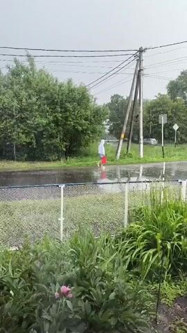 A person in a white hooded jacket and red pants walks across a wet, paved road in the rain, carrying a red bucket. They are walking away from the camera, towards the left side of the frame. A wooden utility pole with wires is visible to the right of the person. Green trees and bushes are on either side of the road. A white fence runs across the lower part of the frame, with green plants in front of it. The sky is overcast.