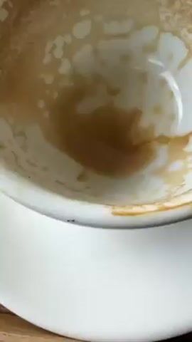 A close-up shot shows a white, half-eaten coffee cup resting on a white saucer placed on a wooden table. A brown coffee stain is visible inside the cup, along with white milk residue. Two ants crawl on the exterior rim of the cup.