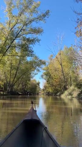 The video shows a first-person perspective from a canoe moving down a narrow waterway on a sunny day. The water is murky brown, reflecting the blue sky and the trees lining the banks. The trees are mostly green, with some showing autumn colors. The sky is clear. The canoe is dark colored and narrow, with a pointed front.