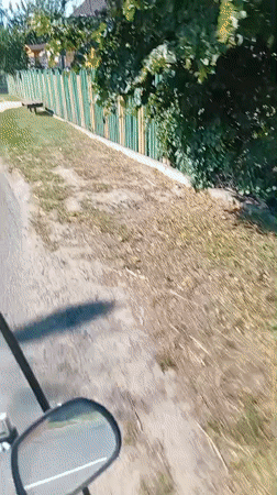 Крыўлянскі сельскі Савет, Belarus