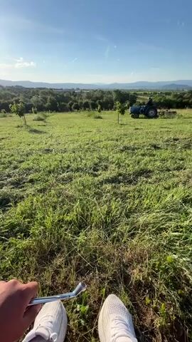 The video shows a field with cut grass and some taller grass, small trees planted in the field, and a blue tractor in the distance. The sky is blue with some clouds and the sun is shining brightly. The tractor is being driven by a person.  The camera appears to be mounted on a vehicle moving through the field.